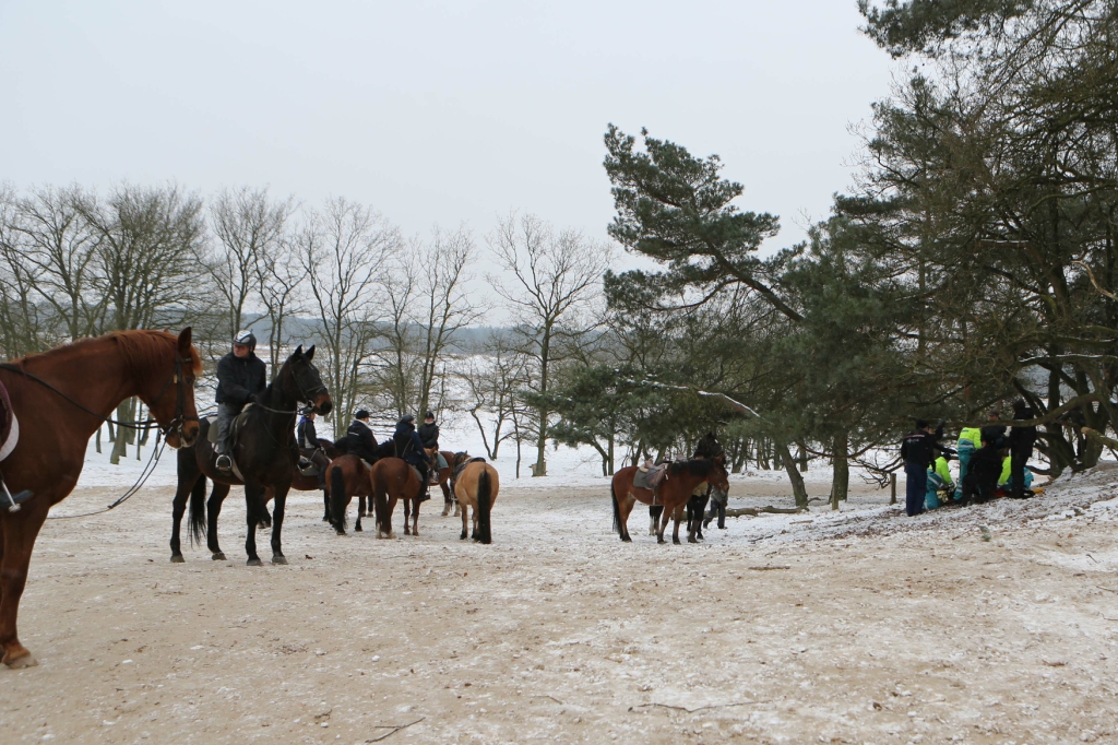 2013-01-20 2226 Kaatsheuvel Roestelberg val van paard