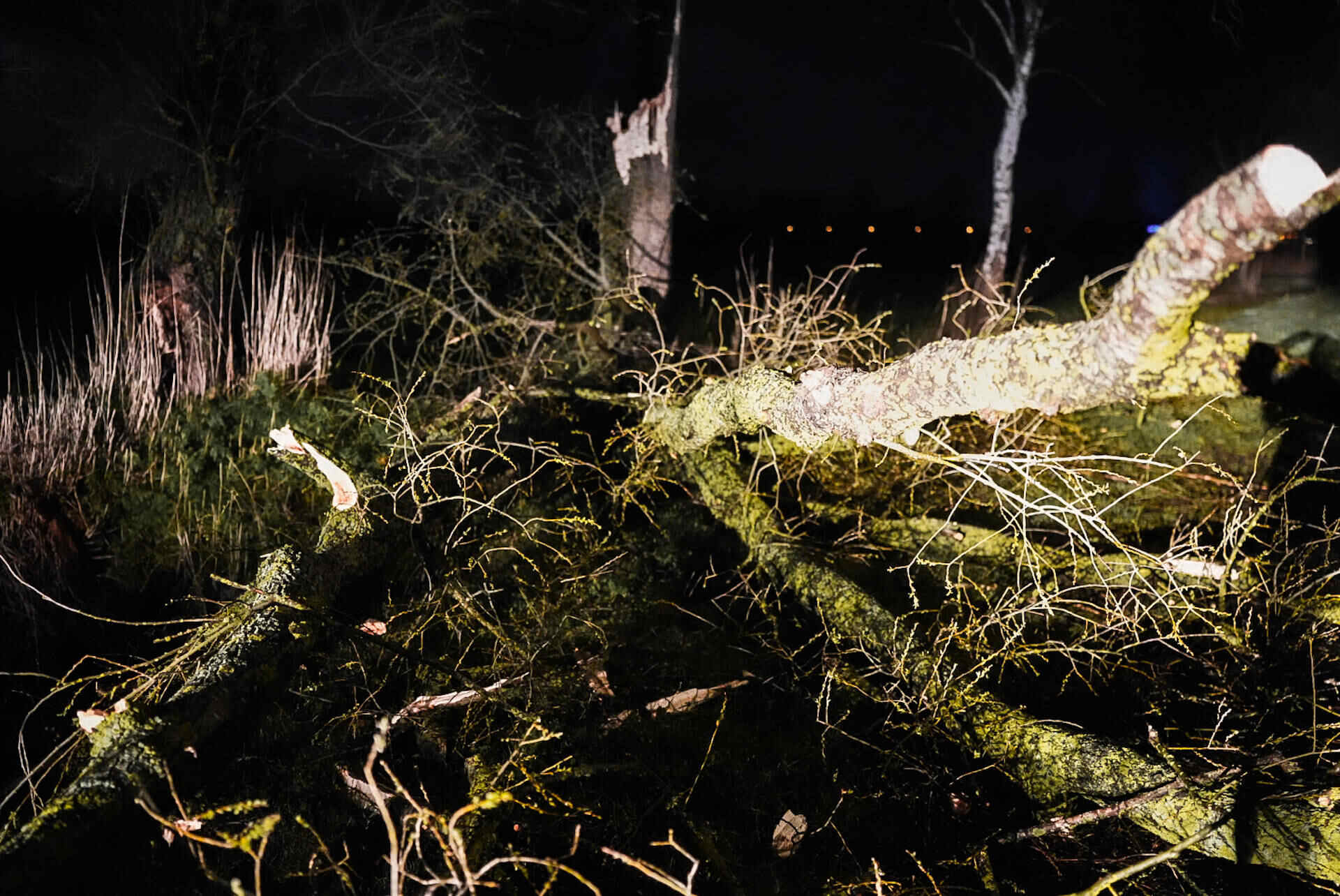 2019 04 27 4837 Loon op zand Loonsehoek nieuwe auto uit de bocht